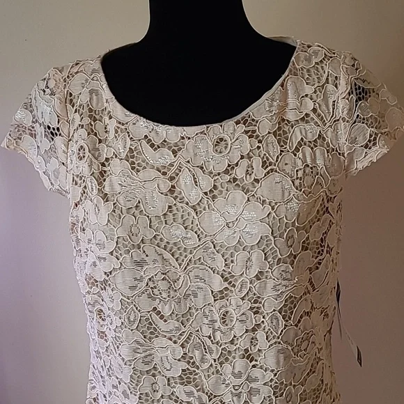 PERCEPTIONS New York Blush Nude Lace Sheath Dress Perite L nwt - Picture 2 of 9